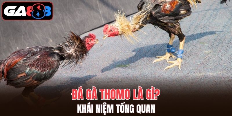 Hình thức không quá xa lạ đối với tín đồ đá gà khắp mọi nơi