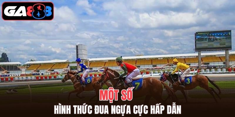 Một số hình thức đua ngựa hấp dẫn