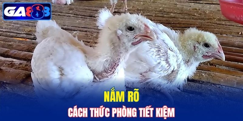 Biết cách ngừa phù hợp