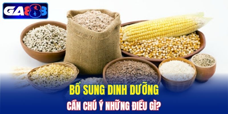 Bổ sung dinh dưỡng cần chú ý những điều gì?