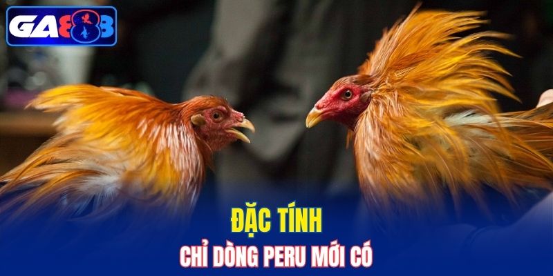 Đặc tính chỉ dòng Peru mới có
