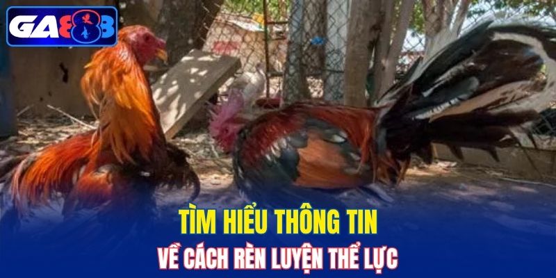 Giới thiệu về cách luyện thể lực