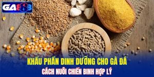 Khẩu Phần Dinh Dưỡng Cho Gà Đá