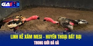 Linh kê Xám Mesi