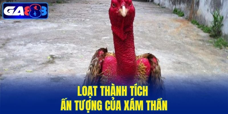 Loạt thành tích ấn tượng của Xám Thần