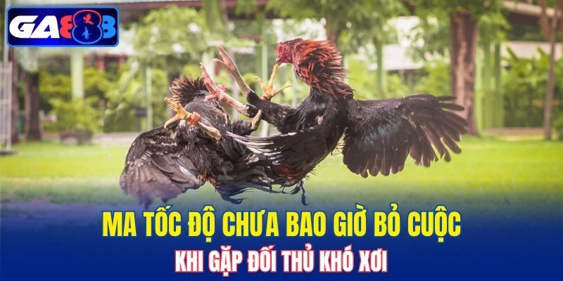 Ma Tốc Độ chưa bao giờ bỏ cuộc khi gặp đối thủ khó xơi