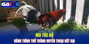 Ma Tốc Độ