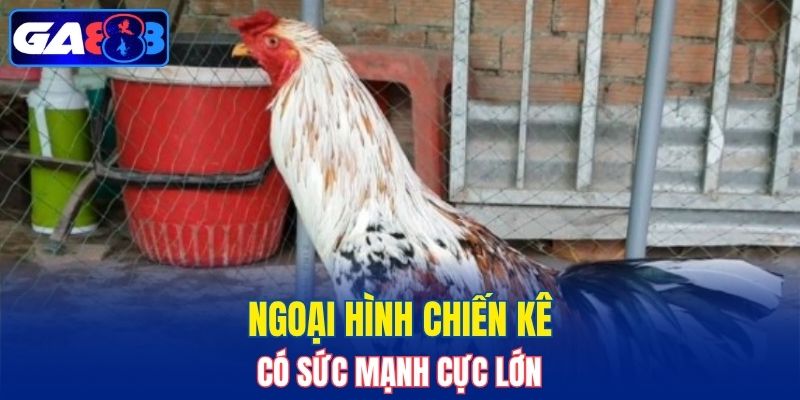 Ngoài hình mang đến sức mạnh lớn