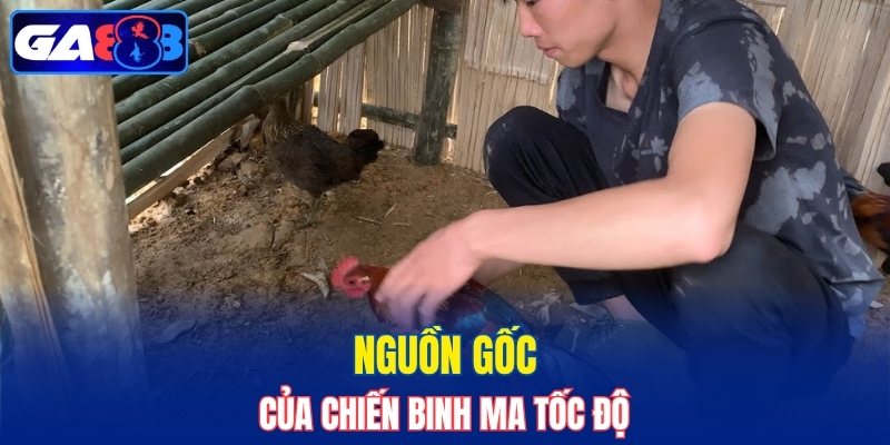Nguồn gốc của chiến binh Ma Tốc Độ