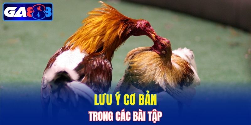 Những chú ý khi tập