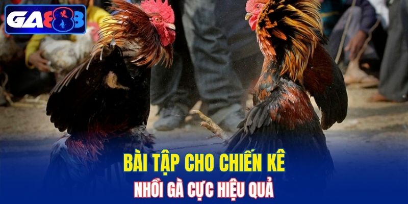 Phương pháp hiệu quả cho chiến kê