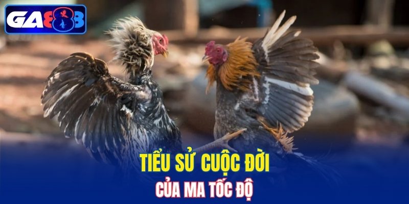 Tiểu sử cuộc đời của Ma Tốc Độ