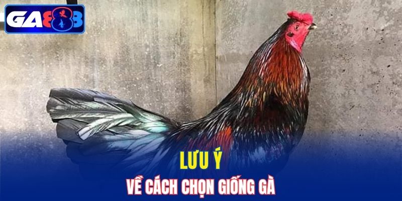 Tìm hiểu và chọn giống hợp lý